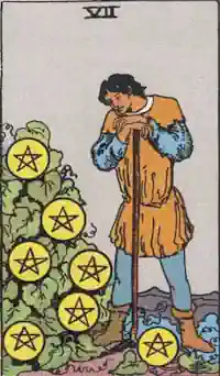 Seven of Coins Tarot Card