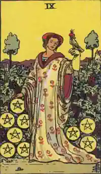 Nine of Coins Tarot Card