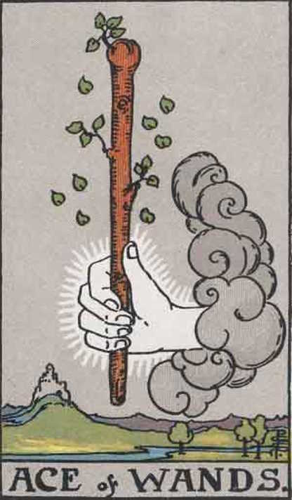 Ace of Wands Tarot Card