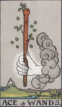 Ace of Wands Tarot Card